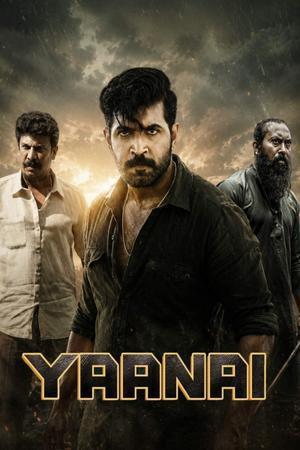 Yaanai 2022 