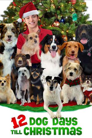 12 Dog Days Till Christmas 2014