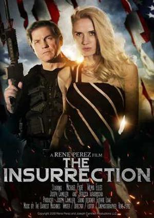 The Insurrection 2020 